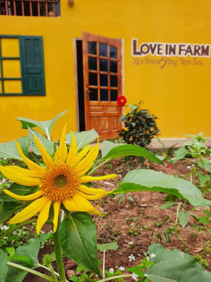 Xôi Farmstay - Eco Homestay Lục Yên Yên Bái Esterno foto