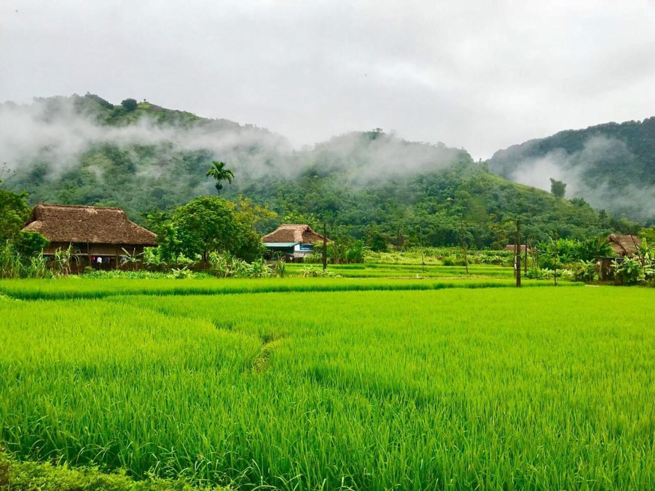 Xôi Farmstay - Eco Homestay Lục Yên Yên Bái Esterno foto