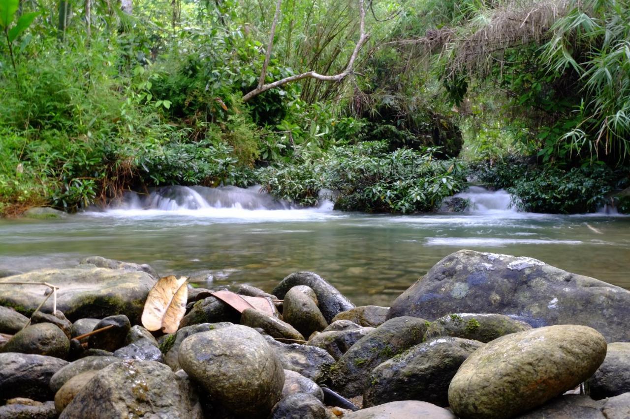 Xôi Farmstay - Eco Homestay Lục Yên Yên Bái Esterno foto