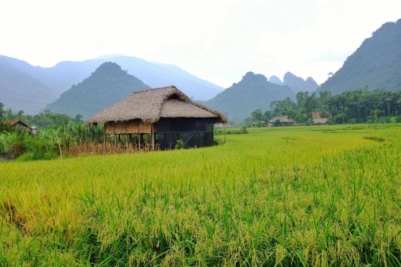 Xôi Farmstay - Eco Homestay Lục Yên Yên Bái Esterno foto