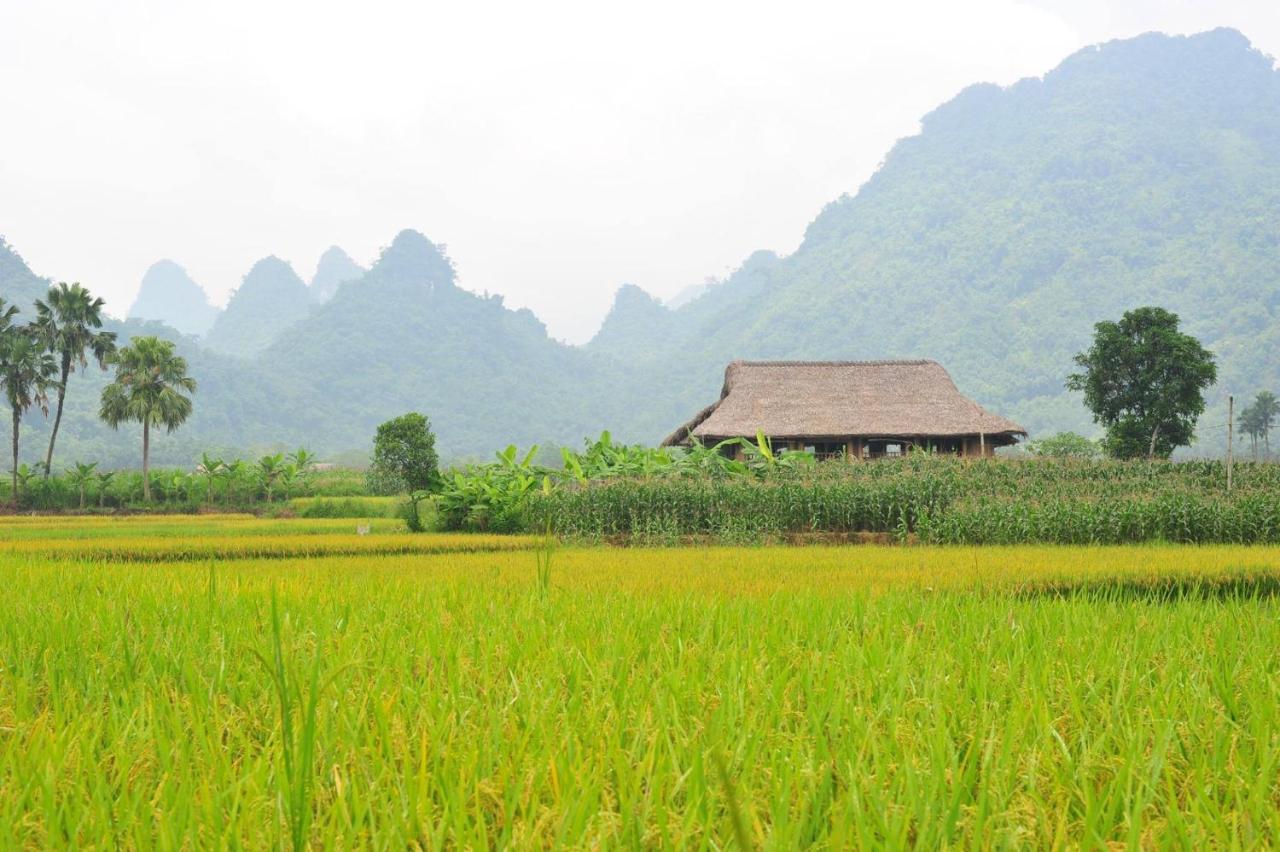 Xôi Farmstay - Eco Homestay Lục Yên Yên Bái Esterno foto