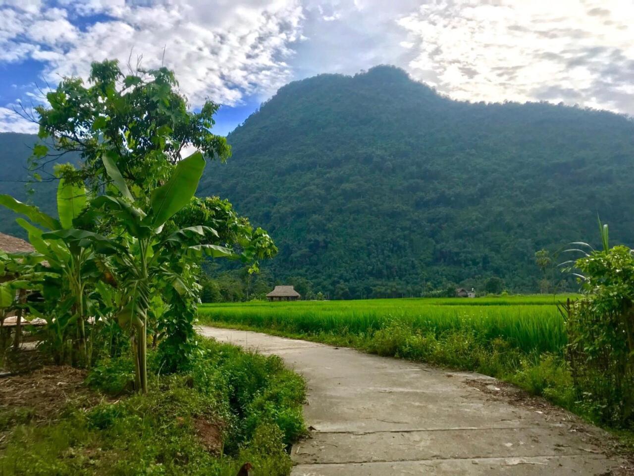 Xôi Farmstay - Eco Homestay Lục Yên Yên Bái Esterno foto