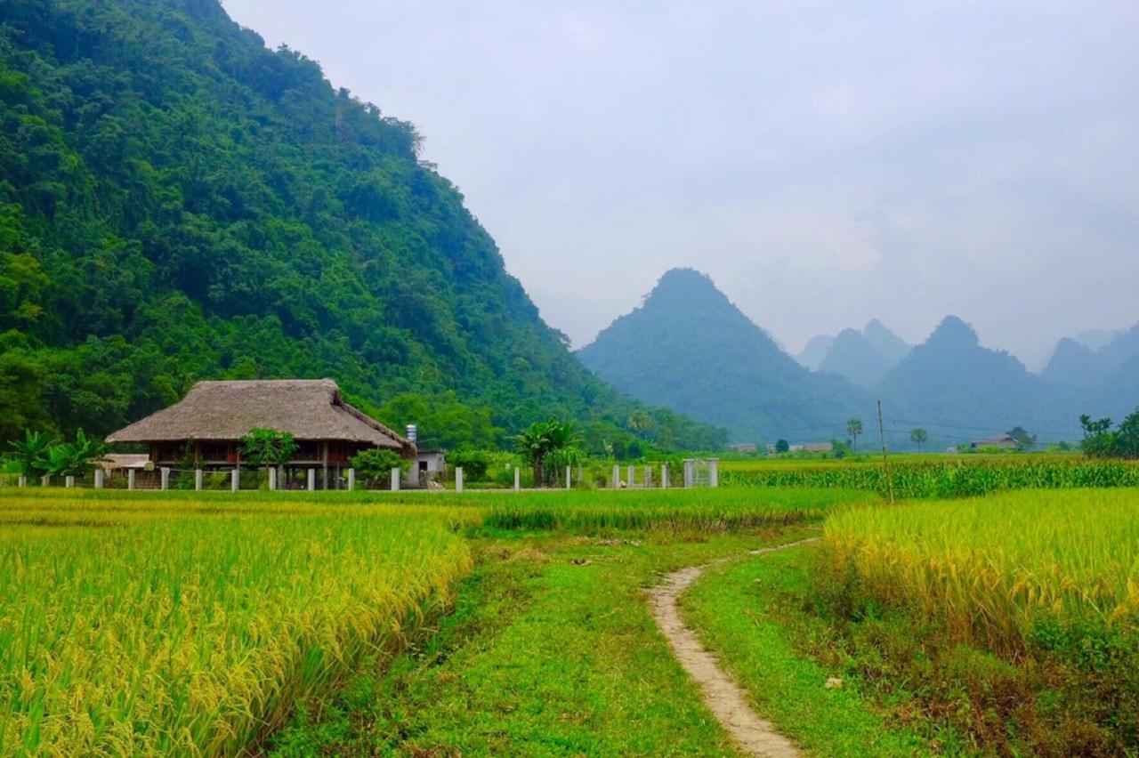 Xôi Farmstay - Eco Homestay Lục Yên Yên Bái Esterno foto