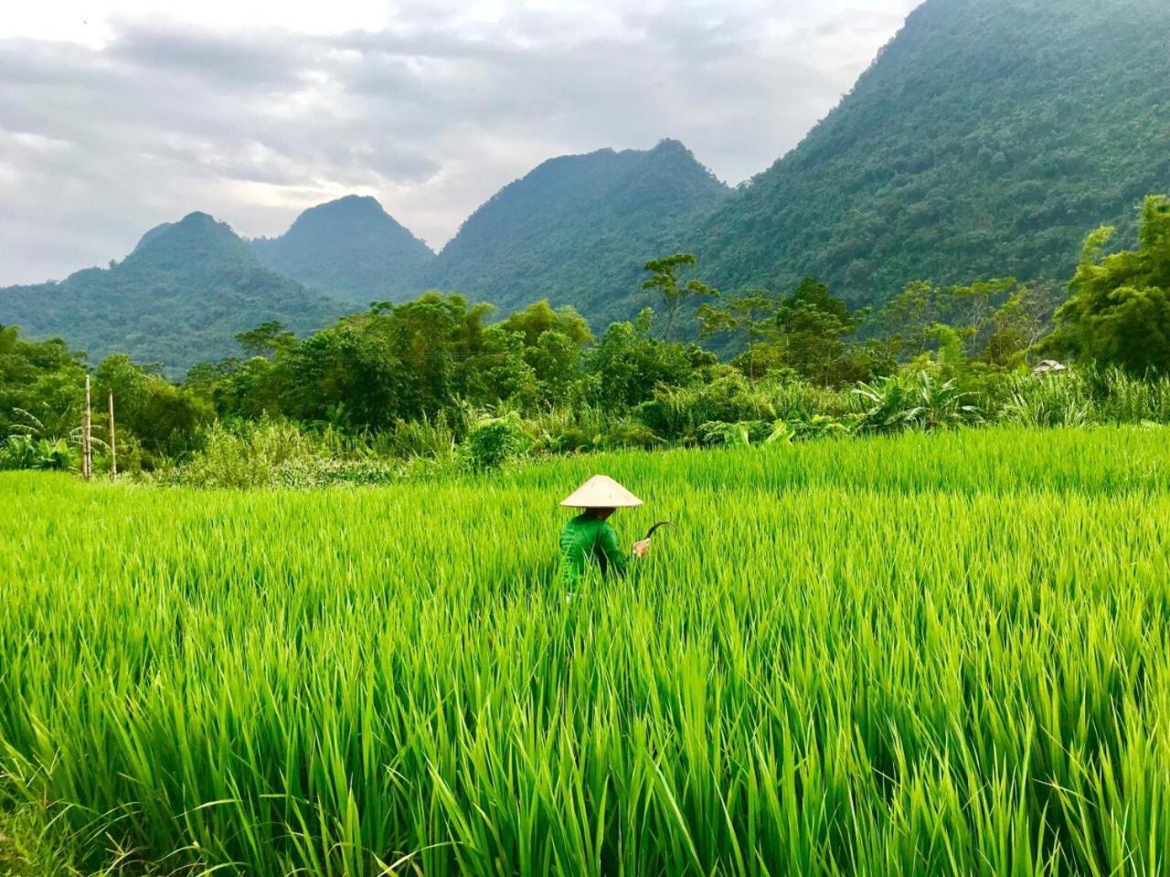 Xôi Farmstay - Eco Homestay Lục Yên Yên Bái Esterno foto