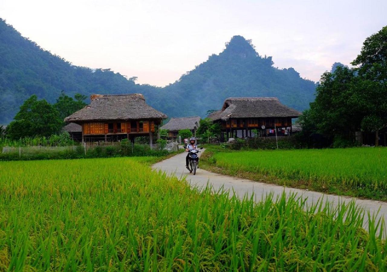 Xôi Farmstay - Eco Homestay Lục Yên Yên Bái Esterno foto