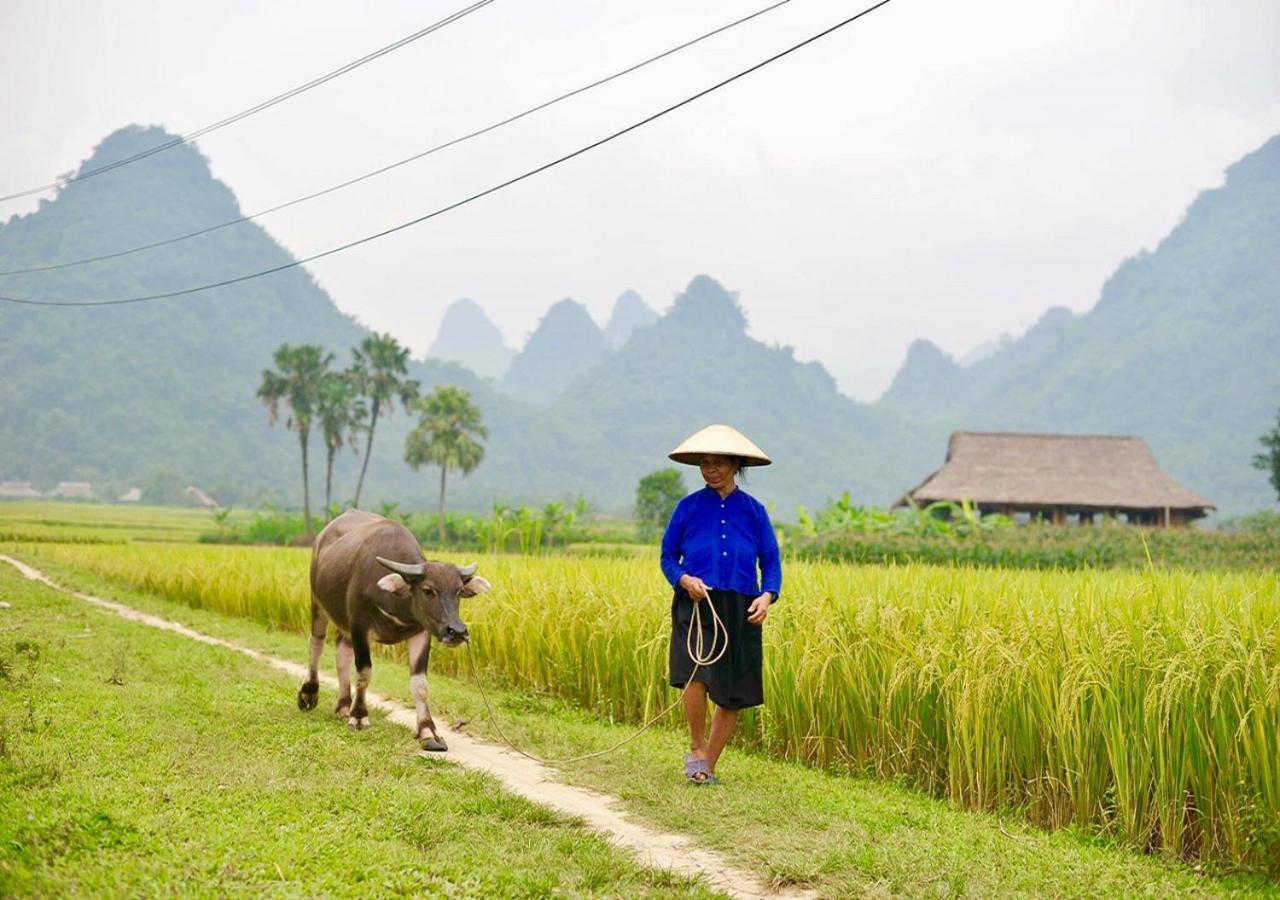 Xôi Farmstay - Eco Homestay Lục Yên Yên Bái Esterno foto