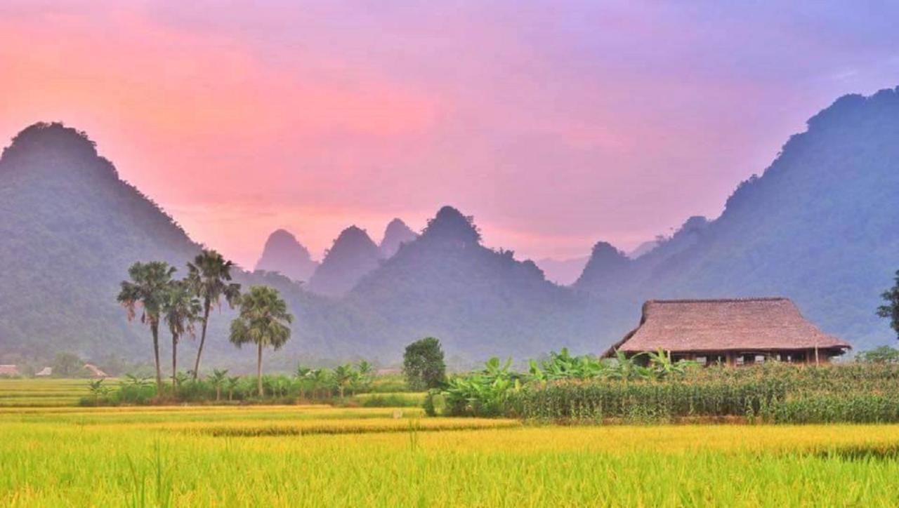 Xôi Farmstay - Eco Homestay Lục Yên Yên Bái Esterno foto