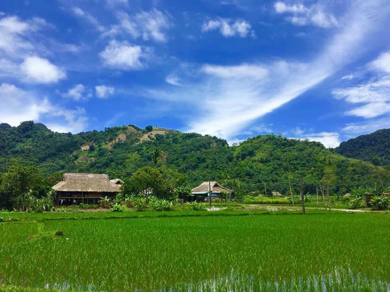 Xôi Farmstay - Eco Homestay Lục Yên Yên Bái Esterno foto