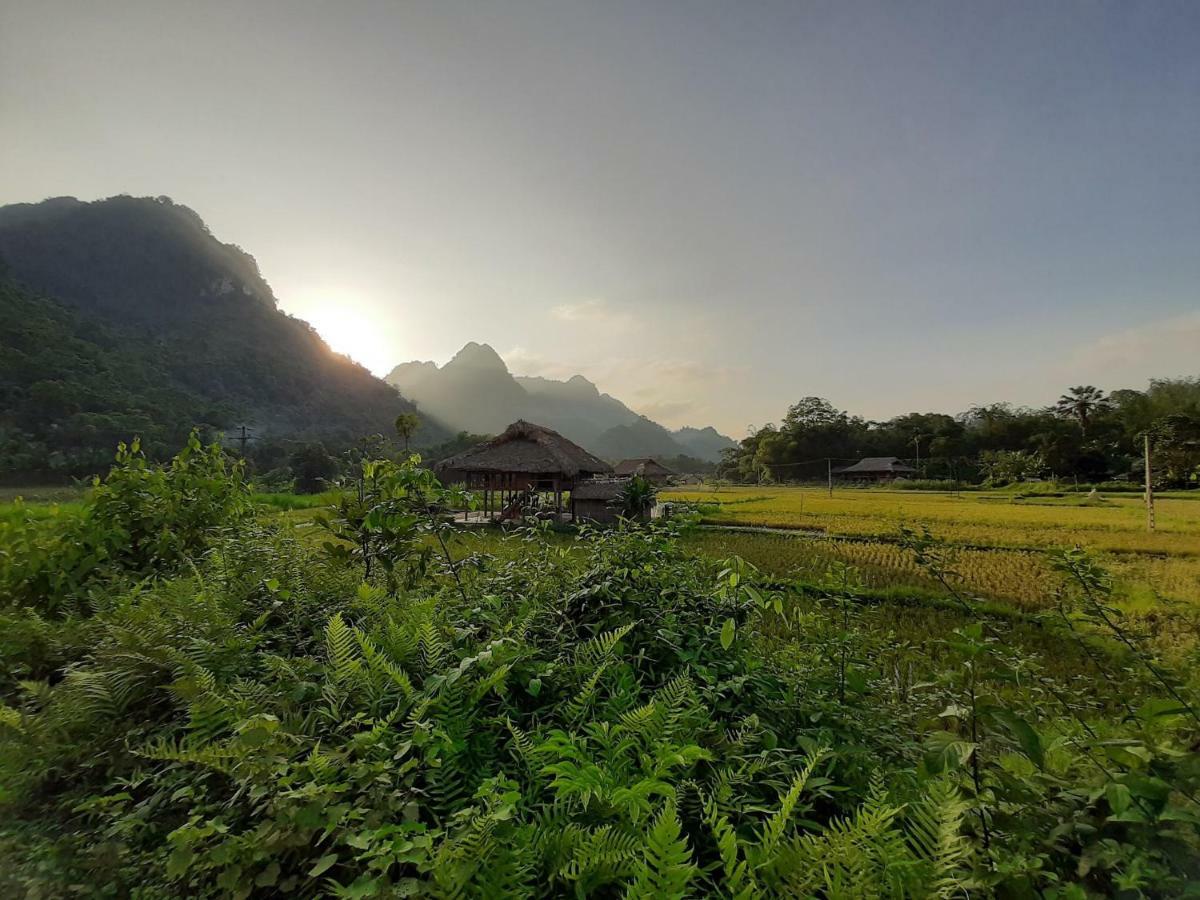 Xôi Farmstay - Eco Homestay Lục Yên Yên Bái Esterno foto